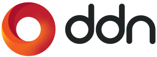 DDN logo